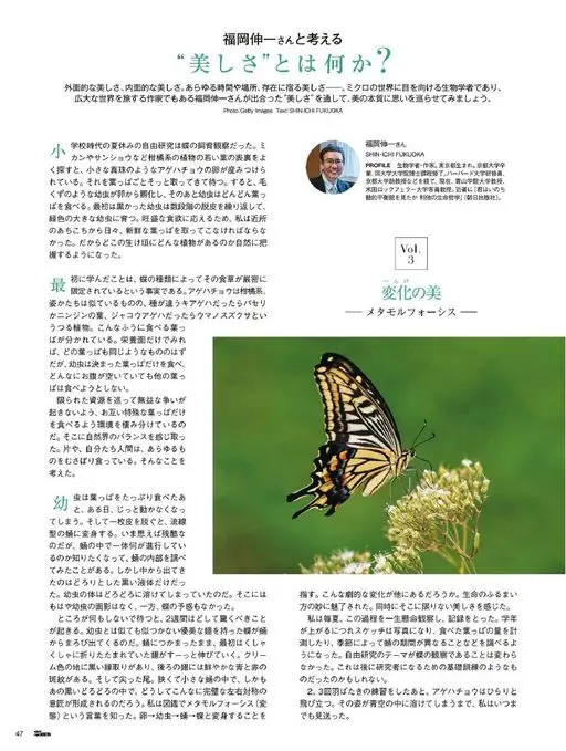 25ans 2026年03月号 外在之美，内在之美。寄宿于一切时间、场所与存在之中的美。让我们透