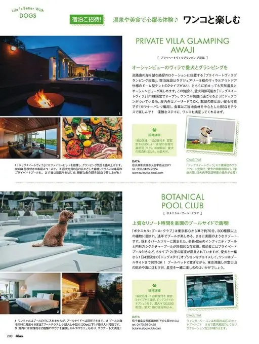 25ans 2026年04月号 Life Is Better With DOGS
住宿招待！
温