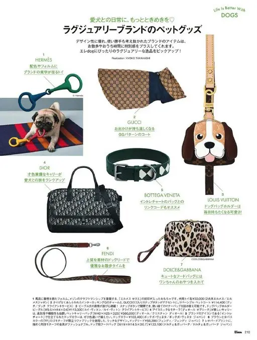 25ans 2026年04月号 有狗的生活更美好（Life Is Better With DOG