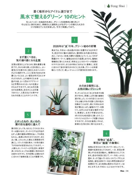 25ans 2026年05月号 用风水打理的绿色植物10个提示

为了这样的“エレ派”，我们请李