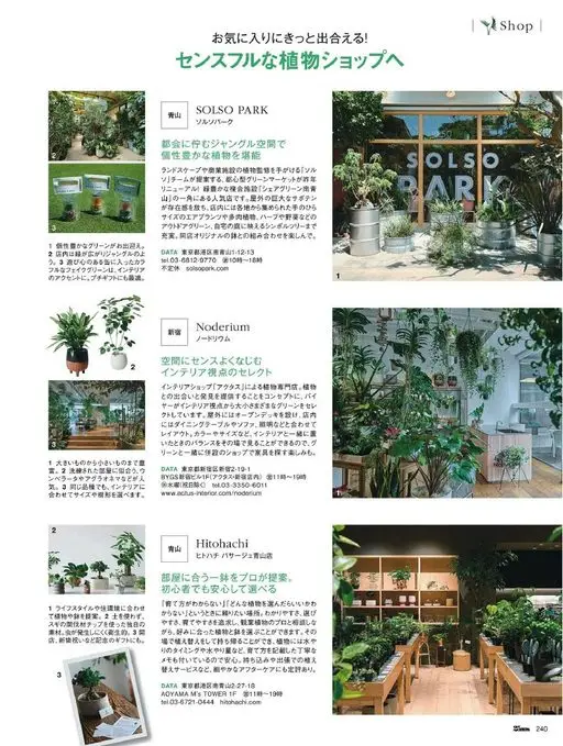 25ans 2026年05月号 去品味出众的植物店，一定能遇见你的心头好！
Shop