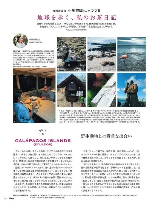 25ans 2026年06月号 远州流茶道・小堀宗翔执笔
行走地球，我的茶日记
想在全世界点茶！